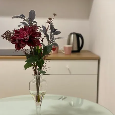 Burgos Apartment *